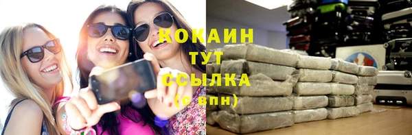 прущая мука Пересвет