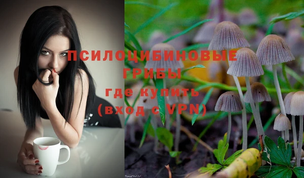 прущая мука Пересвет