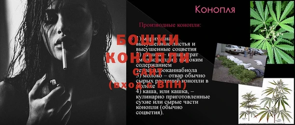 прущая мука Пересвет