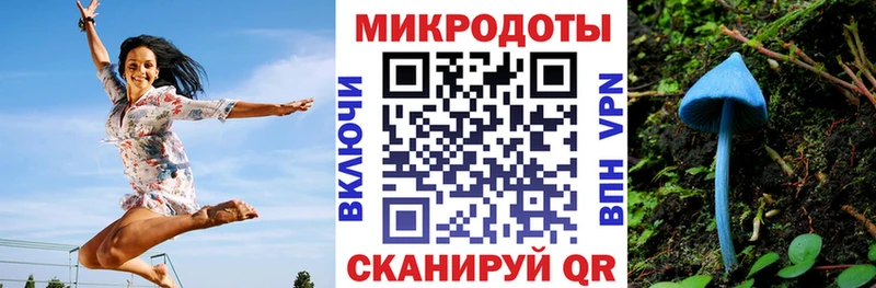как найти закладки  кракен ONION  Галлюциногенные грибы Magic Shrooms  Холмск 