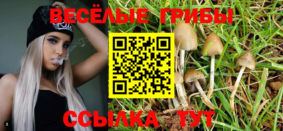 Псилоцибиновые грибы мухоморы  Галлюциногенные грибы прущие грибы  купить наркоту  Вход с VPN  Холмск 