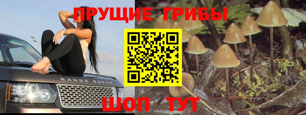 Галлюциногенные грибы ЛСД Холмск
